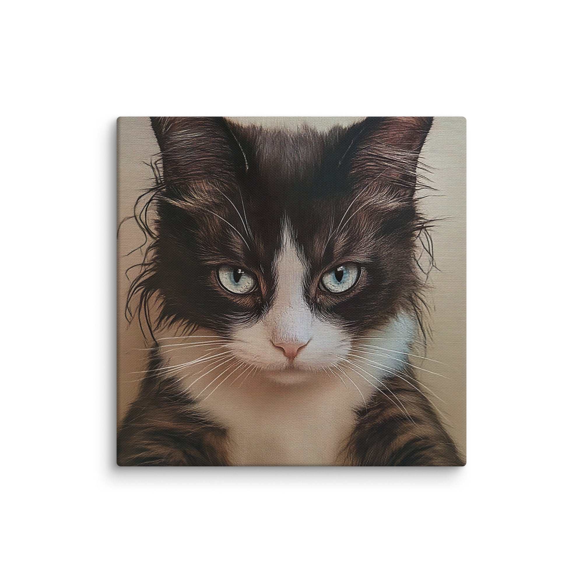 Katze im direkten Blick, Leinwand - Cooroi