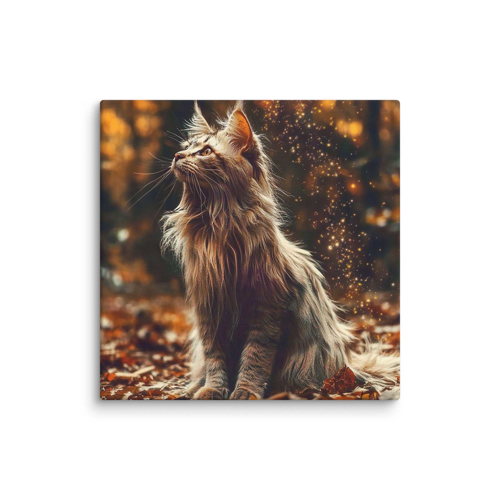 Main Coon Katze, Leinwand - Cooroi